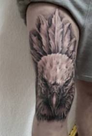 a set of creative tattoos on the knees