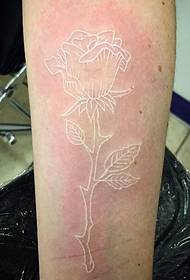Patrón de tatuaje invisible de rosa blanca exquisita para mujer