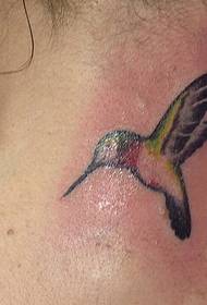 muundo mzuri wa tattoo ya maji ya hummingbird tattoo 118664-anuwai ya miundo ya tattoo ya sungura