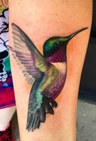 roztomilý malý kolibřík tetování vzor na skupinu krásných dívek