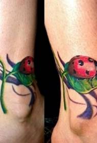 Alle ragazze piace questo modello di tatuaggio coccinella fresco e adorabile