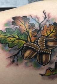 заднє плече татуювання дівчина заднє плече кольорові рослини Татуювання фотографії