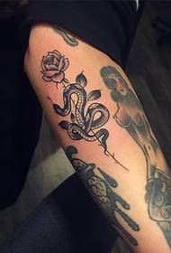 Patrón de tatuaje de rapaza de rosa de serpe europea e americana de brazo pequeno