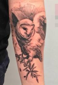 Tecnica del pungiglione sul braccio, materiale vegetale, foto di un tatuaggio di gufo animale