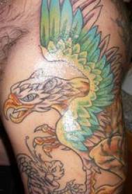 Рука красочный крылатый грифон личность татуировки