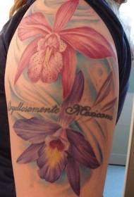 Modello del tatuaggio dell'orchidea e della lettera colorato grande braccio