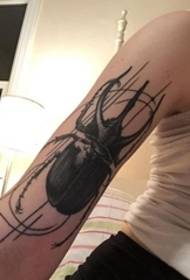 美麗的黑色風格甲蟲圖案紋身在手上大臂
