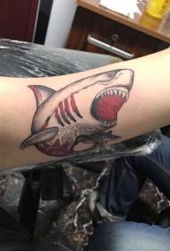 На руцэ акула намаляваны малюнак татуіроўкі
