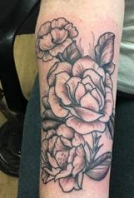 Braccio tatuaggio su bianco e nero stile grigio puntura tatuaggio pianta tatuaggio materiale letterario tatuaggio fiore immagine