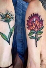 Руке на обојеним цветовима тетоваже цвеће лонган и слике биљака тетоважа еделвеисс