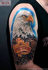 Tattoo i bukur i shqiponjës për tatuazhin e meshkujve