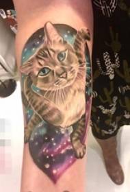 Hermosa imagen de tatuaje de gato mascota realista de color en el brazo femenino