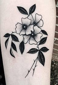 Majhen rožni cvet majhen svež točkovni vzorec tatoo tatoo