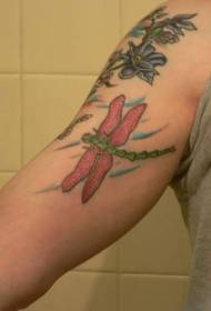 Arm colored dragonfly and flower tattoo pattern