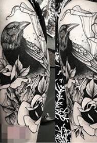 Rankos juodos ir baltos pilkos spalvos taškas erškėčių paukštis augalinė medžiaga gėlė paprastos linijos tatuiruotės paveikslėlis