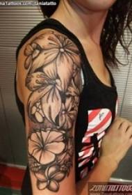 Tatuaj braț fată pe tehnica tatuaj plantă tatuaj material model tatuaj flori