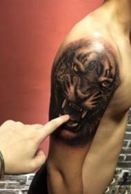 Arm ned det realistiske tatoveringsmønsteret i fjelltiger