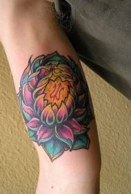 Красивая цветная татуировка лотоса на руке