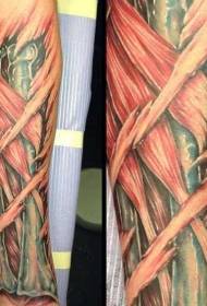 Akanyatso tarisa ruvara pfupa uye mhasuru ruoko tattoo maitiro