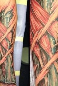 Modello di tatuaggio con ossa e muscoli del colore molto realistico