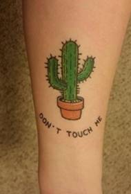 Verse kaktus en Engelse woord tattoo op die handarm