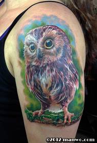 腕にかわいいフクロウのタトゥー