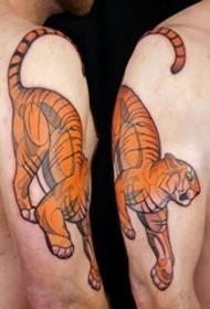 Gizonezko eskuineko beso kolore tatuaje tigre animalia txikia tatuaje eredua