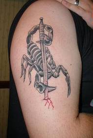 Tatuaggio di scorpione elegante e bello