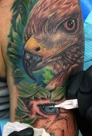 독수리 문신 패턴으로 놀라운 그림과 동물의 눈을 무장하십시오