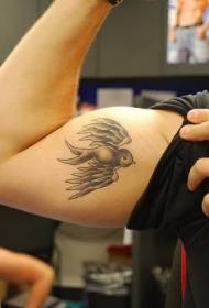 Pilkosios žvirblio tatuiruotė ant rankos