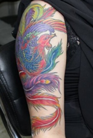 Patrón de tatuaje de brazo fénix de Fenghua