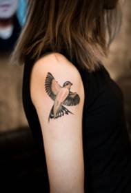 Improvvisamente restituito, braccio piccolo rondine modello tatuaggio