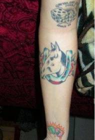 Patkó és ló fej tetoválás a karon