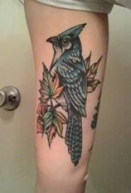 Braccio è tecnica di pittura del tatuaggio pianta tatuaggio materiale foglia tatuaggio uccello tatuaggio animale tatuaggio immagine
