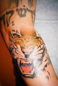 腕の色虎のタトゥー画像