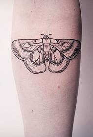 Klenge Aarm kleng Frësch Moth Line Prick Tattoo Muster