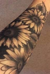 Black and white tattoo on the arm, tattoo technique, plant tattoo material, sunflower tattoo picture