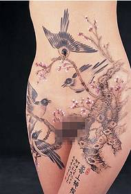 Sexy all-naked beauty full body classic good-looking landscape map