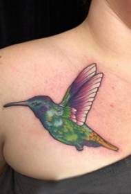 Tatuaje de paxaro estudante masculino peito coloreado tatuaxe de paxaro foto