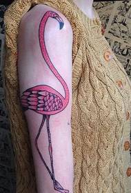 Disinn tat-tatwaġġ tal-flamingo ħelu exquisite