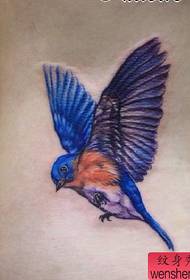 Modello di tatuaggio femminile: immagine del tatuaggio del modello del tatuaggio della gazza dell'uccello colorato in vita