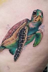 Teknős tetoválás minták Különböző divat teknős tetoválás minták