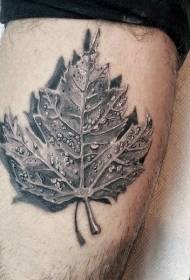 Maple Leaf Tattoo Illustratioun Creative Match Maple Leaf Tattoo Muster