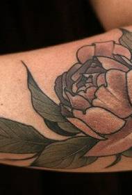 Jemné a krásne ruže tetovanie vzor