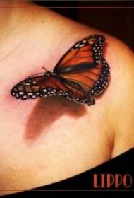 Drugelių tatuiruotės modelis yra gražus trijų dimensijų drugelių tatuiruotės modelis mergaitėms