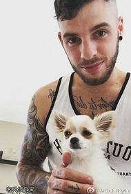 European and American style pet male fashion tattoo