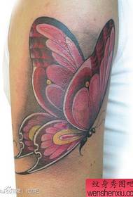 Ramię popularny piękny wzór tatuażu motyla