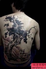Férfi vissza klasszikus teljes fenyő fa tetoválás minta
