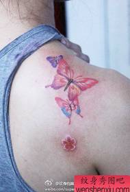Gražus pečių tatuiruotės populiarus drugelio tatuiruotės modelis