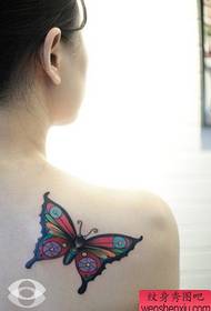 Pragtige skouer kleur pragtige vlinder tatoo patroon